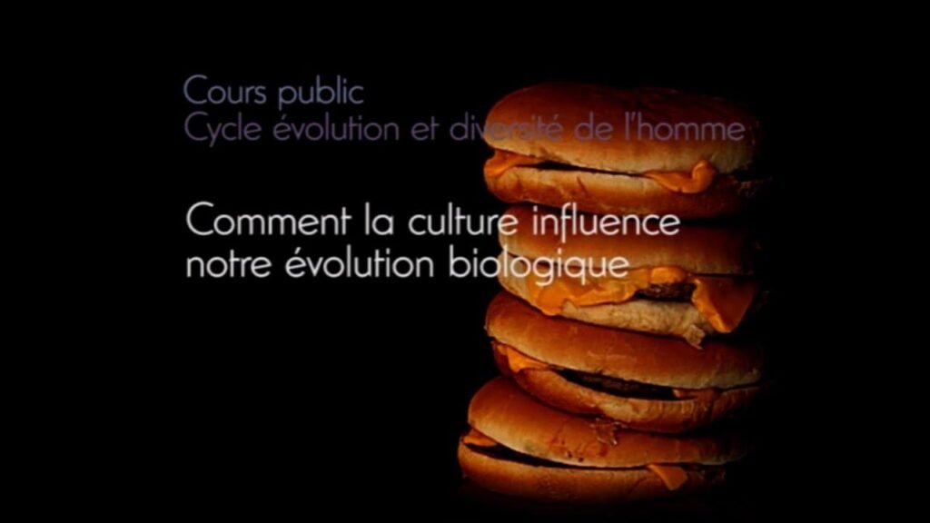 Tracing the Rise: How Influencer Culture Has Evolved Tracing the Rise: How Influencer Culture Has Evolved