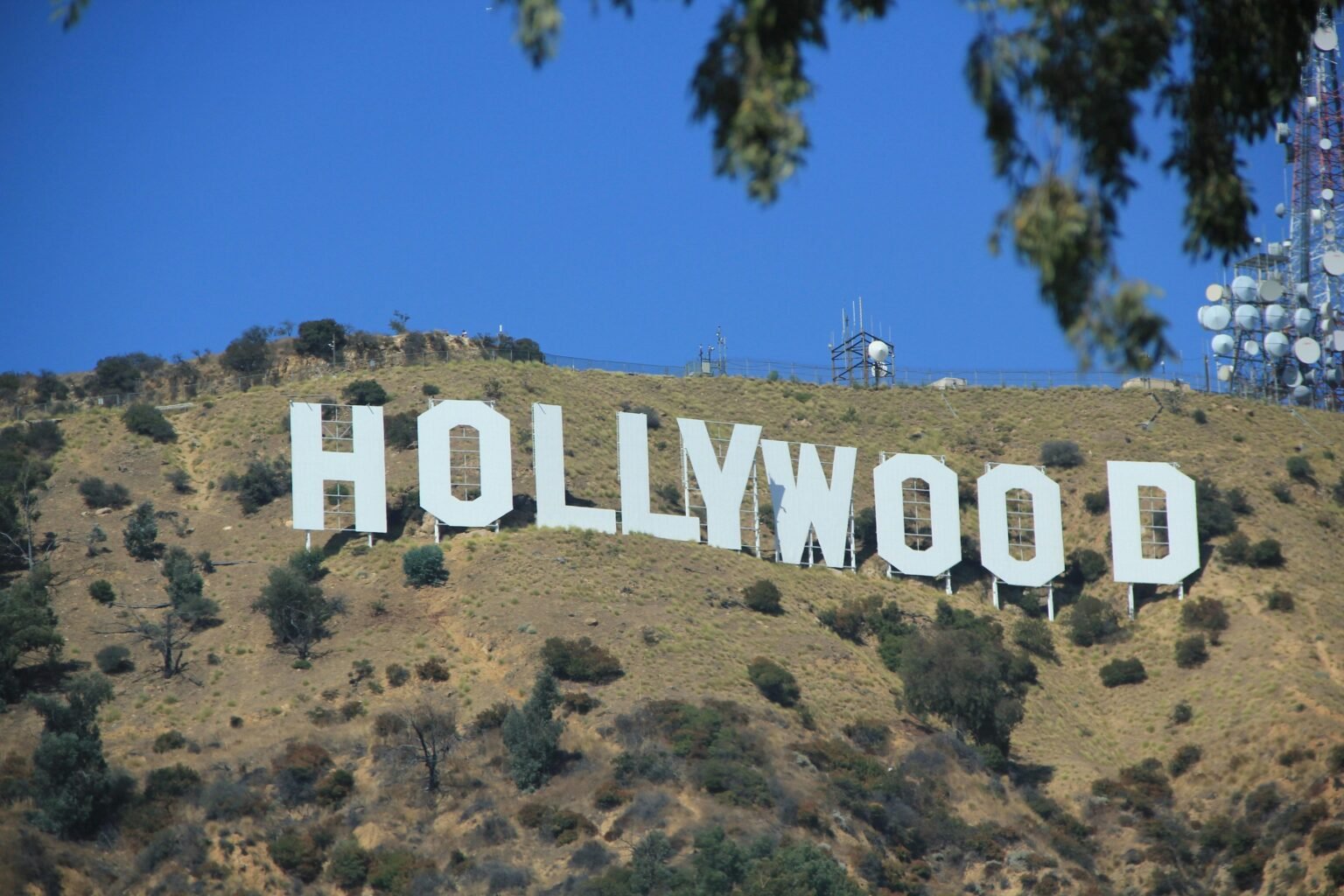 Big Hollywood Casting News: Who’s Joining Upcoming Hits?
